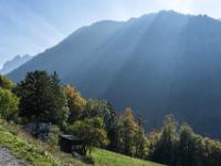 Sonnenstrahlen durchbrechen den leichten Dunst am Hang